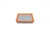 Air Filter:4R3Z-9601-AA