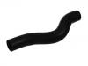 Radiator Hose:254112D150