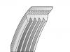 многоклиновый  ремень  V-Ribbed Belt:5 PK 2030