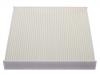 Filtre compartiment Cabin Air Filter:500042992