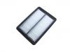 Filtro de aire Air Filter:PAL6-13-3A0